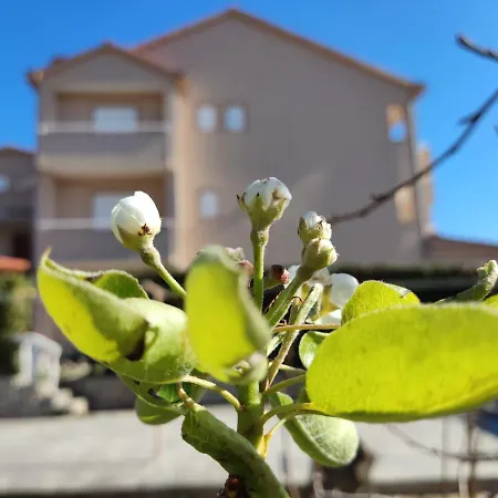 Katarina&ivan Krstinic Apartament Rab Town